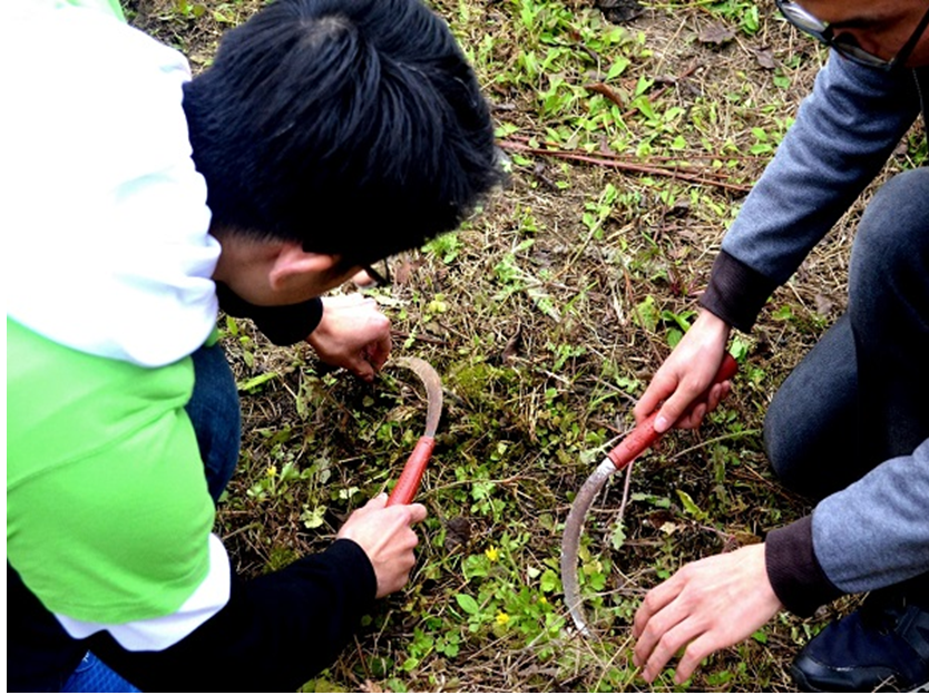 委員在認真除草