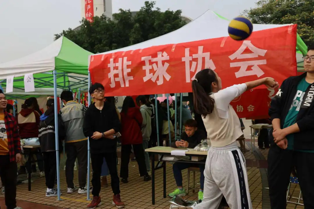 排球協會風采展示