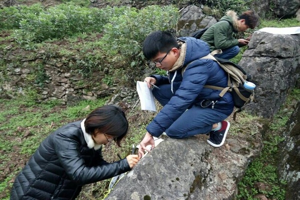 野外實習工作