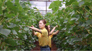 說明:2017-07-14 20:08:48.595000