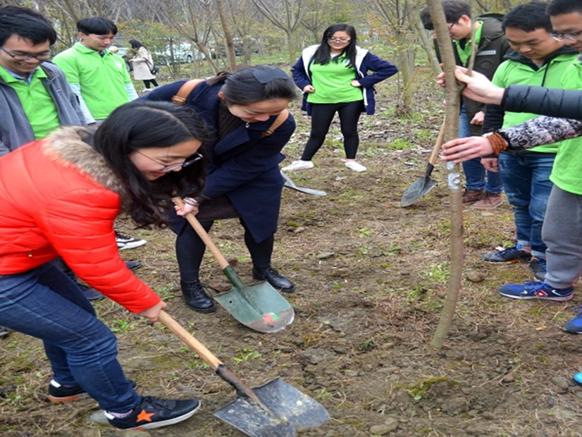 徐洪濤老師為櫻花樹填土