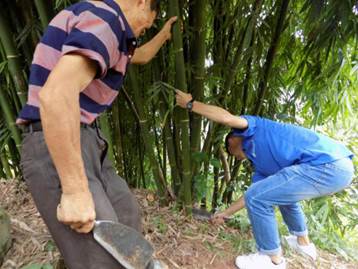 QQ圖片20190804080648