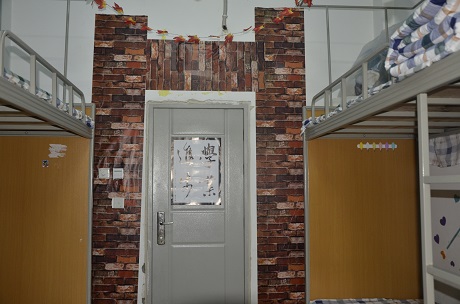 寢室文化風(fēng)采展示(四)